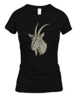 Women's Soft Style Fitted T-Shirt Women's Soft Style Fitted T-Shirt