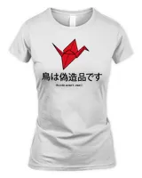 Women's Soft Style Fitted T-Shirt