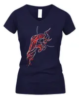 Women's V-Neck T-Shirt Women's V-Neck T-Shirt