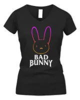 Women's V-Neck T-Shirt Women's V-Neck T-Shirt