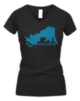 Women's V-Neck T-Shirt Women's V-Neck T-Shirt