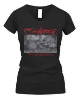 Women's V-Neck T-Shirt Women's V-Neck T-Shirt