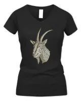 Women's V-Neck T-Shirt Women's V-Neck T-Shirt