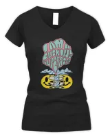 Women's V-Neck T-Shirt Women's V-Neck T-Shirt