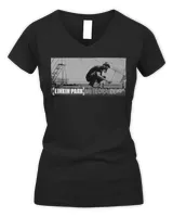 Women's V-Neck T-Shirt Women's V-Neck T-Shirt