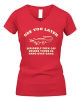 Women's V-Neck T-Shirt Women's V-Neck T-Shirt