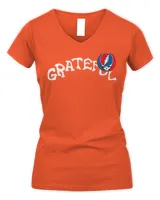 Women's V-Neck T-Shirt Women's V-Neck T-Shirt
