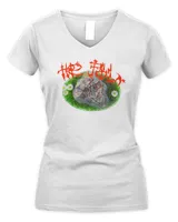 Women's V-Neck T-Shirt Women's V-Neck T-Shirt