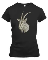 Women's Premium Slim Fit Tee Women's Premium Slim Fit Tee