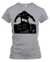 Women's Premium Slim Fit Tee Women's Premium Slim Fit Tee